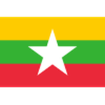 Thông tin đội