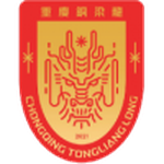 Thông tin đội