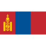 Thông tin đội