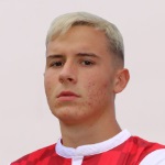 Mihajlo Mitić