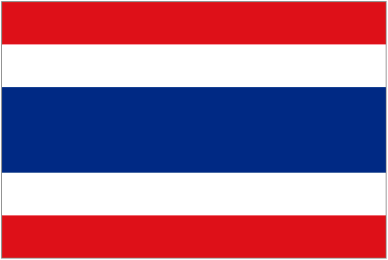 Thông tin đội