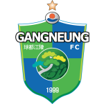 Thông tin đội