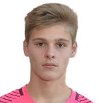 D. Vincelj