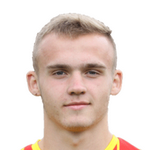K. Panek