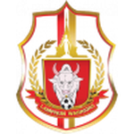Thông tin đội
