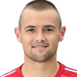 D. Šafarić