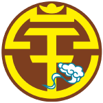Thông tin đội